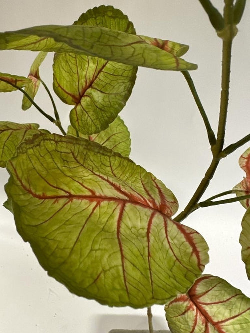 My Flowers.shop Groen rode caladium zijden bloem | Lengte 75 centimeter | Per stuk - vtwonen shop