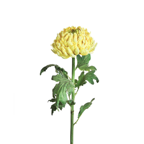 Sia Deco Chrysant Steel Kunstmatig - lichtgeel - H86 - vtwonen shop