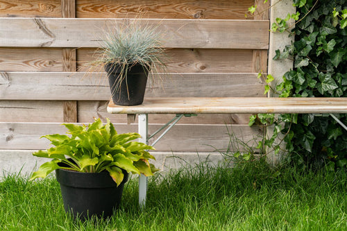 MaximaVida inklapbare picknickbank Berlijn 120 x 25 cm whitewash - FSC hout