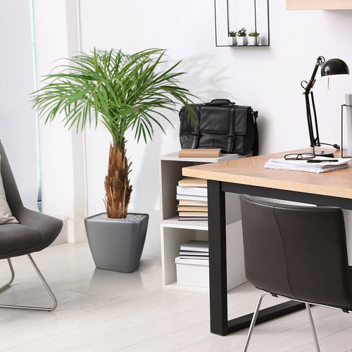 Maxifleur Areca kunstpalm op stam 120cm