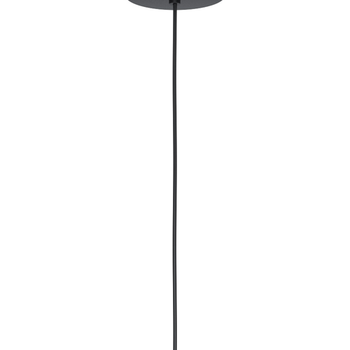 EGLO hanglamp Mantunalle 1 - e27 - ø 20 cm - zwart - vtwonen shop