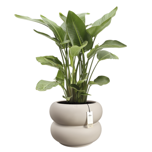 elho amber roll 60 balanced beige | Bloempot |Premium statementdesign