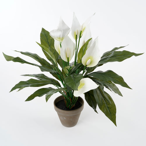 Mica Decorations Spathiphyllum Kunstplant in Bloempot Stan - H50 x Ø40 cm - Wit