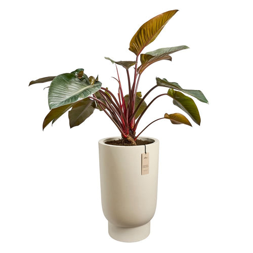 elho amber grail high 47 linnen wit | planter | Geschikt voor binnen en buiten