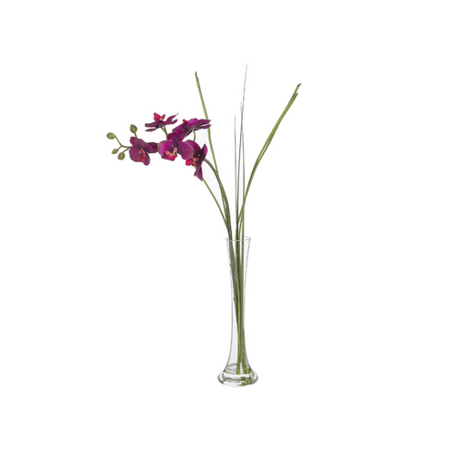 Sia Deco Orchidee In Waterillusie Kunstmatig - violet - H65 - vtwonen shop