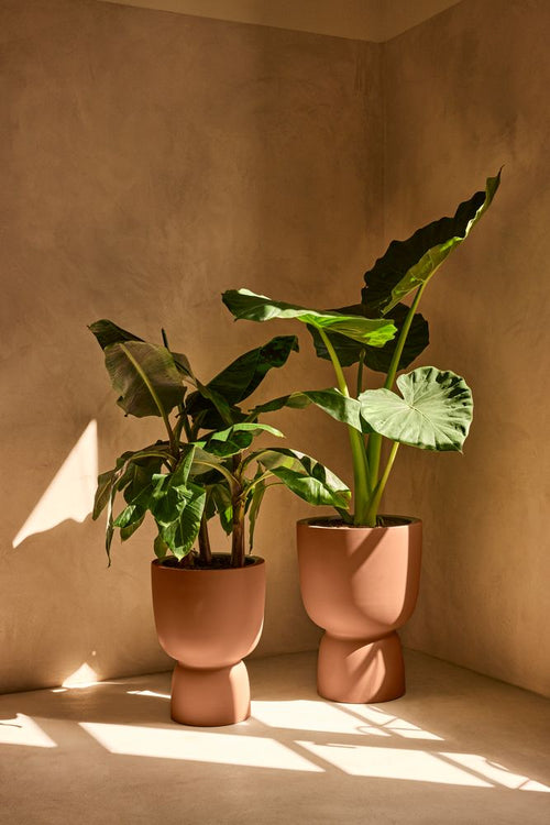 elho amber coupe 35 karamel | Bloempot |Premium statementdesign