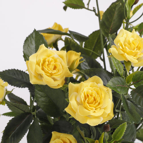 Mica Decorations Rozenstruik Kunstplant in Bloempot Stan - H33 x Ø25 cm - Geel - vtwonen shop