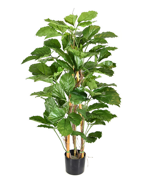 Maxifleur Tetrastigma kunstplant 120cm