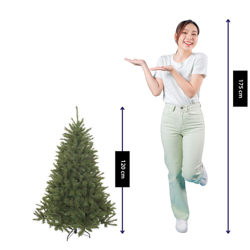 Triumph Tree Bristlecone Fir - Kerstboom met Natuurlijke Uitstraling en Stevige Takken - Kerstversiering voor Binnen - Kunstboom van PVC Hardneedle -