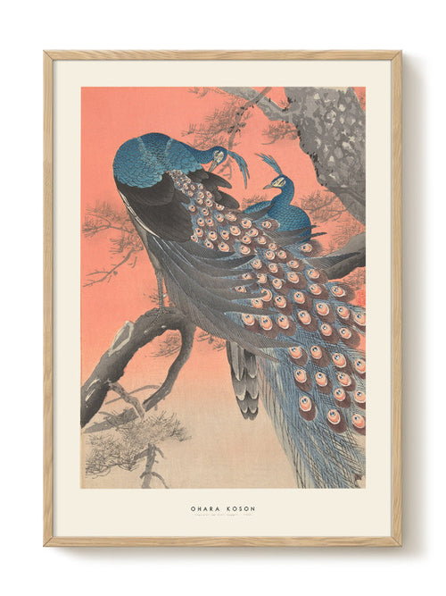 Ohara Koson - Peacocks on tree - PSTR studio Kunst Poster - vtwonen shop