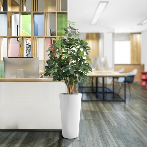 Maxifleur Schefflera Exotica kunstplant 120cm - FR - brandvertragend