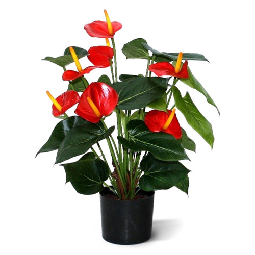 Maxifleur Anthurium deluxe kunstplant 50cm - rood