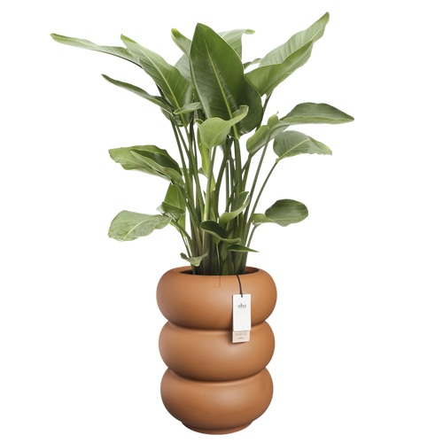 elho amber roll high 43 karamel | Bloempot |Premium statementdesign