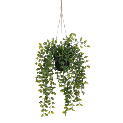 Mica Decorations Ficus Kunst Hangplant in Pot - H46 x Ø20 cm - Groen - vtwonen shop