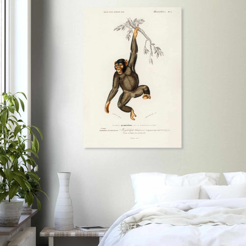 Artfulprints Poster Charles Dessalines d'Orbigny - Chimpangze (troglodyte chimpanze)   - A4 21x29.7 cm - Bruin