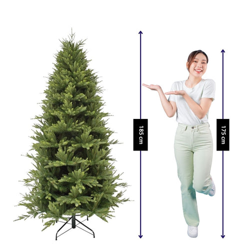 Triumph Tree Pittsburgh Kerstboom - Kerstversiering met Dennenappels en Witte Bevroren Takpunten - Kunstboom met Realistische Groene Naaldjes - H185 x