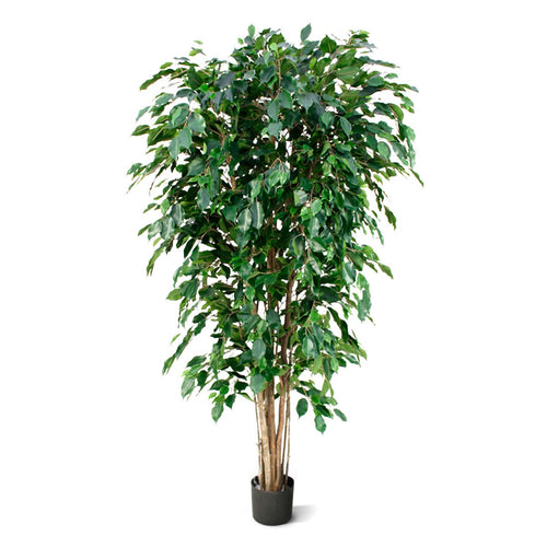 Maxifleur Ficus Exotica deluxe kunstboom 180cm - groen