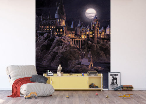 Sanders & Sanders fotobehang Harry Potter Zweinstein meerkleurig 270 x 225 cm 601210