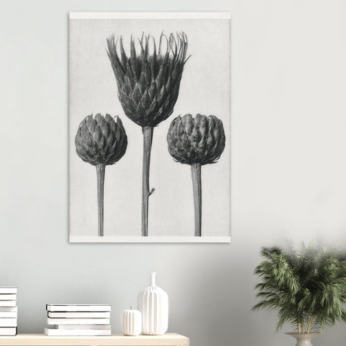 Artfulprints  Burst of bloom   poster 50x70 cm