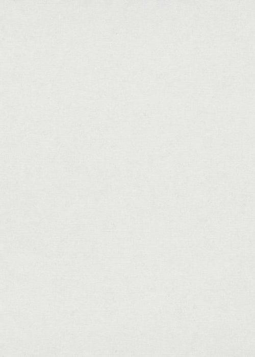 Erismann behang effen wit - 53 cm x 10.05 m - 662424 - vtwonen shop