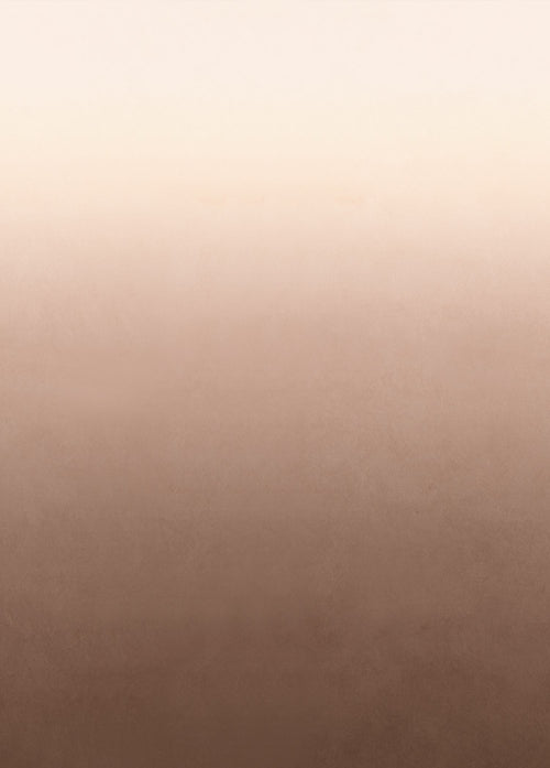 ESTAhome fotobehang kamerhoog dip dye kleurverloop bruin - 200 x 279 cm - 159442 - vtwonen shop