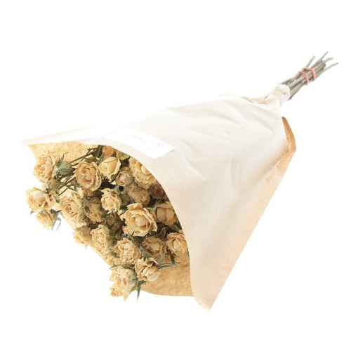 My Flowers.shop Tien gedroogde witte trosrozen | Lengte 50 centimeter | Per bos te bestellen - vtwonen shop