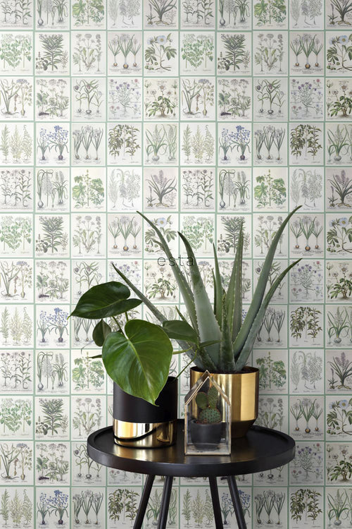 ESTAhome XXL behang bladzijden botanisch bloemen en planten boek licht warm grijs en groen - 50 x 900 cm - 158826 - vtwonen shop