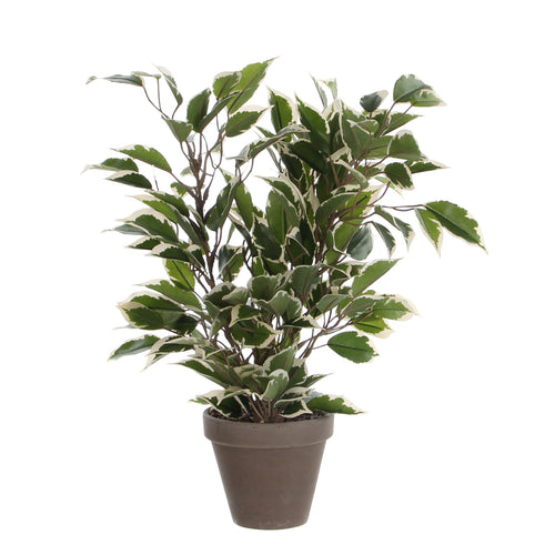 Mica Decorations Ficus Natasja Kunstplant in Bloempot Stan - H40 x Ø30 cm - Groen Bont