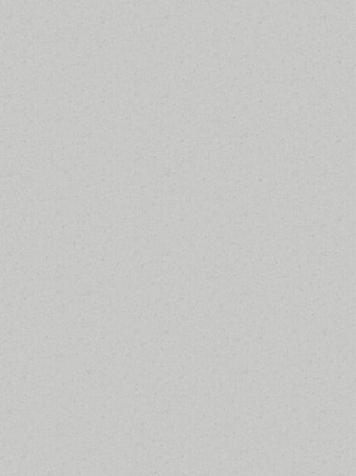 Borastapeter behang effen grijs - 53 cm x 10.05 m - 660339