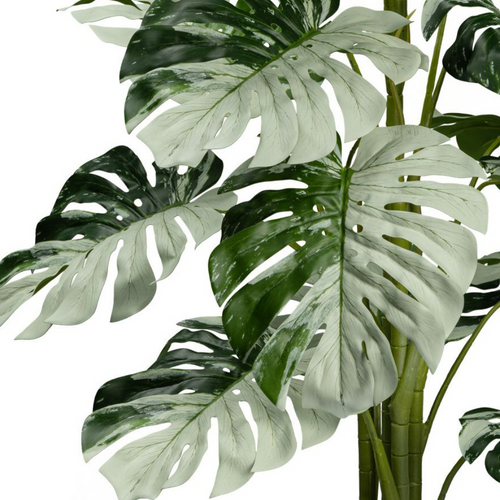 Flourify kunstplant - Monstera Variegata Halfmoon - 115 cm - vtwonen shop