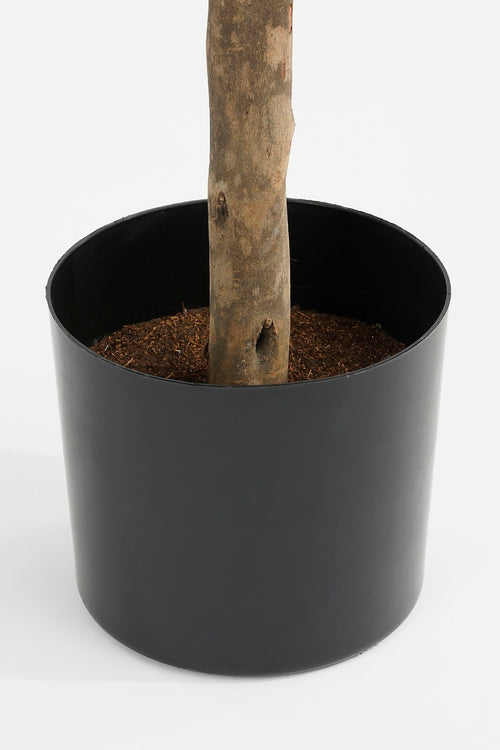 Mica Decorations Ficus Lyrata Kunstplant - H165 x Ø95 - Groen - vtwonen shop