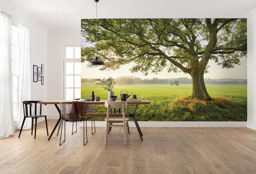 Sanders & Sanders fotobehang natuurmotief groen - 450 x 280 cm - 612671