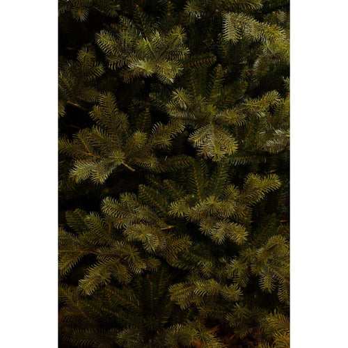 Black Box Trees Clive Kunstkerstboom - Kunst Kerstboom H155 x Ø109 cm - Groen