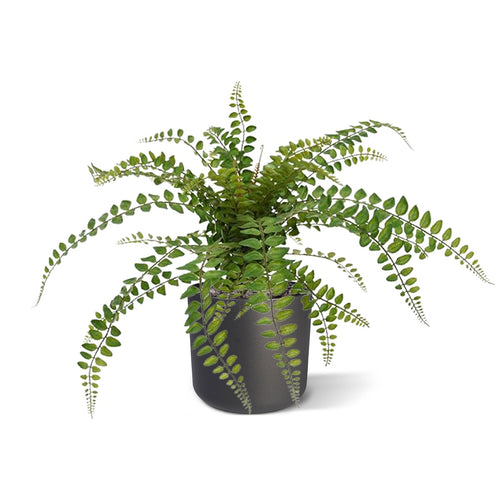 Maxifleur Rotundifolia Varen kunstplant 55cm
