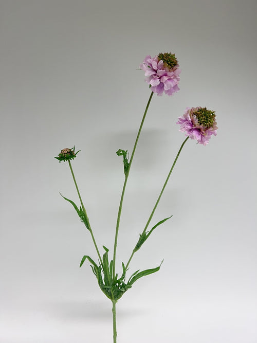 My Flowers.shop Roze scabiosa zijden bloem | Lengte 65 centimeter | Per stuk - vtwonen shop