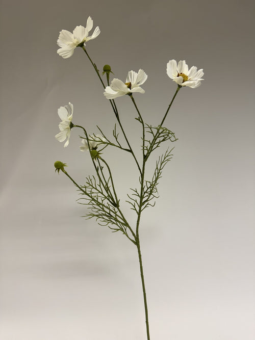 My Flowers.shop Witte cosmea zijden bloem | Lengte  72 centimeter | Per stuk - vtwonen shop