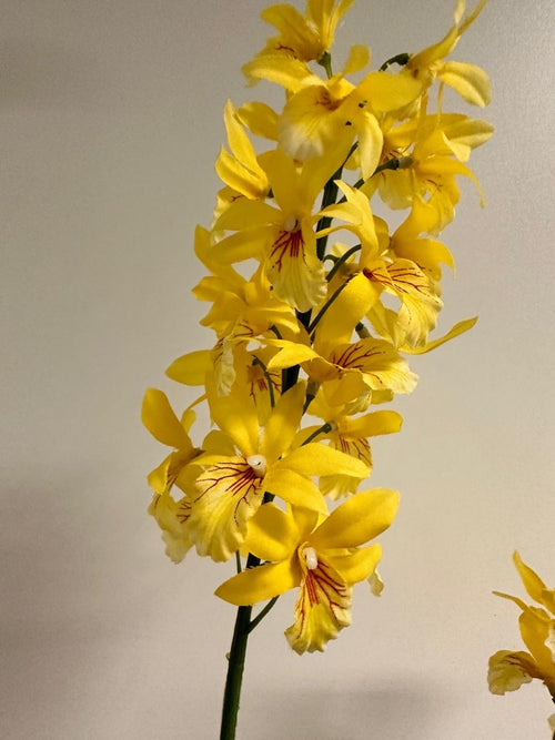 My Flowers.shop Gele orchidee dendrobium zijden bloem | Lengte 52 centimeter | Per stuk - vtwonen shop