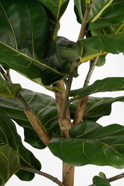 Mica Decorations Ficus Lyrata Kunstplant - H165 x Ø95 - Groen - vtwonen shop