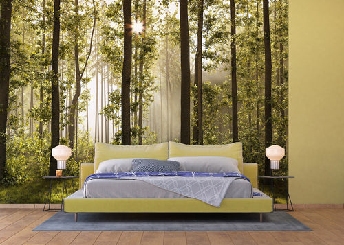 Sanders & Sanders fotobehang bosrijk landschap groen - 360 x 254 cm - 600374