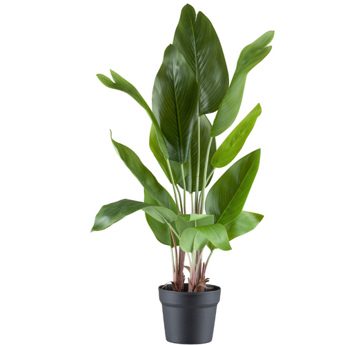 Flourify kunstplant - Strelitzia nicolai - 70 cm