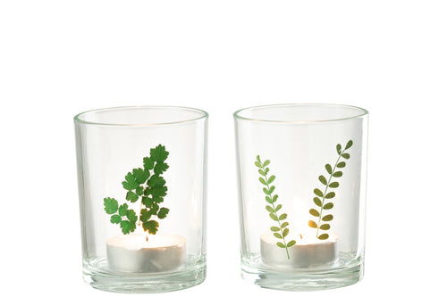 J-Line windlicht Bladeren - glas - groen/transparant - 2 stuks