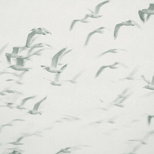 Sanders & Sanders fotobehang vogels blauw en groen - 424 x 280 cm - 640890