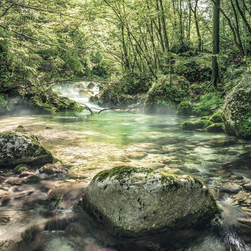 Sanders & Sanders fotobehang landschap met water groen - 400 x 250 cm - 612566
