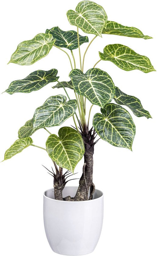 Flourify kunstplant - Syngonium - 70 cm