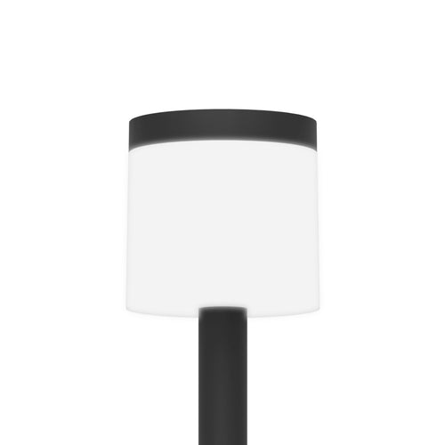 EGLO solar priklamp buiten Pantete - led - 115 cm - zwart/wit