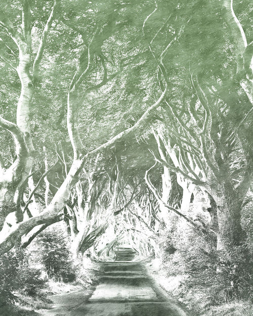 Sanders & Sanders fotobehang bos groen - 200 x 250 cm - 611922