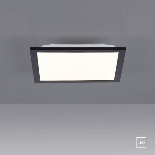 Paul Neuhaus plafondlamp Flat - 1 lichts - 29.5  x 5.8   cm - zwart - vtwonen shop