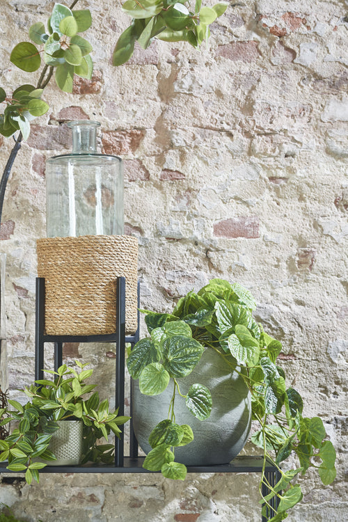 Mica Decorations Ascot Plantenstandaard - L21 x B21 x H35 cm - Metaal - Zwart