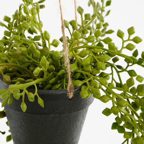 Mica Decorations Senecio Kunst Hangplant in Pot - H68 x Ø9 cm - Groen - vtwonen shop