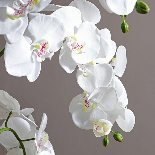 Sia Deco Orchidee Compositie Met Vaas - wit - transparant - H126 - vtwonen shop